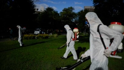 El ministro de Salud de Ecuador anticipa un repunte de dengue en un año ya  con récord de infectados