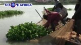 Kenya: Ingaruka z’Igabanuka ry’Amafi mu Kiyaga Victoria
