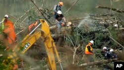 A worker cuts a tree with a chainsaw next to a "PV" marking, which stands for "possible victim," March 30, 2014, in the debris field of the massive landslide that struck the community of Oso, Washington. 
