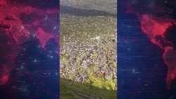 مرگ هزاران قطعه ماهی در پی باز و بسته شدن مکرر آب زاینده‌رود