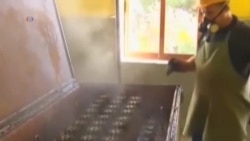 اخبار شبانگاهی Fri, 15 Nov