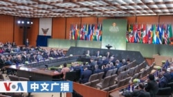 领航资讯网中文广播 (2026年2月5日)