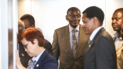 Udaba Esilethulelwe NguMavis Gama