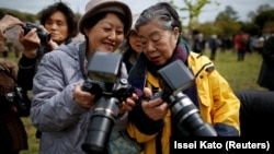 Royal aficionado Fumiko Shirataki shows a friend photographs she took of Japan's Emperor Akihito and Empress Michiko 