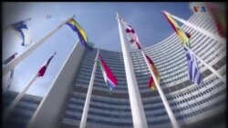 اخبار شامگاهی