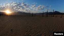 FILE - Normally submerged tree stumps are seen at Theewaterskloof dam near Cape Town, South Africa, June 2, 2017. The dam supplies most of the city's potable water. 