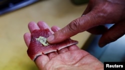 The Wider Image: Fatty 'katsuo' fish may foreshadow climate change, threat to Japan's sushi