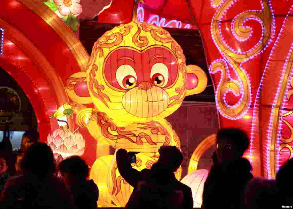 Monkey lantern