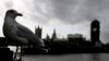 FILE - A seagull looks towards Britain's Parliament buildings in London, Oct. 18, 2019.A 28-year-old researcher in the British parliament was arrested on suspicion of spying for Beijing.