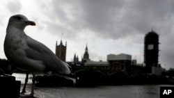 FILE - A seagull looks towards Britain's Parliament buildings in London, Oct. 18, 2019.A 28-year-old researcher in the British parliament was arrested on suspicion of spying for Beijing.