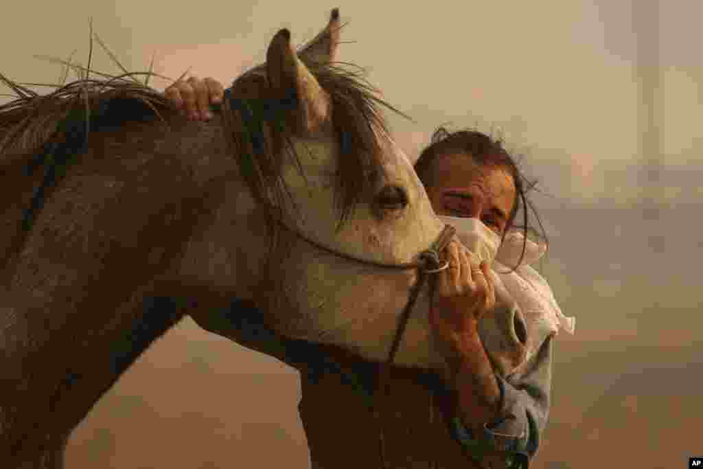 Fabio Losurdo comforts his horse, Smarty, at a ranch in Simi Valley, California, Oct. 30, 2019. A brush fire broke out just before dawn in the area north of Los Angeles.