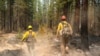 Monster Wildfire Tests Years of Forest Management Efforts 
