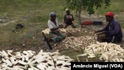 Mulheres de Palma, Cabo Delgado, Moçambique