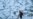 Oink, Moo and Brrr: Polar Vortex Strikes US Farm Belt