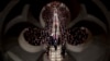 =Former President George W. Bush speaks in front of the flag-draped casket of his father, former President George H.W. Bush, at the State Funeral at the National Cathedral, Dec. 5, 2018, in Washington. 