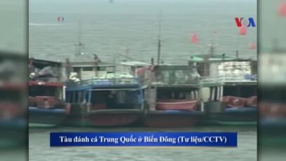 Truyền hình vệ tinh VOA 5/4/2016