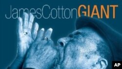 Jamesu “Mr. Superharp” Cottonu naslov albuma “Giant” savršeno odgovara