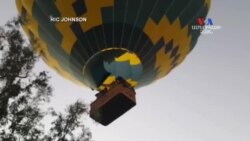 SHORT VIDEO: Օդապարիկի արկածները