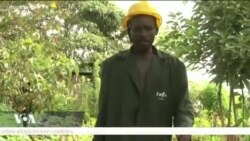 Des prisonniers apprennent l’agriculture au Kenya