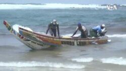 Senegal Overfishing -- USAGM