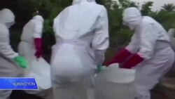 Ebola li Kongo Kêşeyeke Pir Mezin E