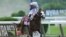 Jockey Manuel Franco pumps his fist after winning the 152nd running of the Belmont Stakes aboard Tiz the Law at Belmont Park, Elmont, N.Y., June 20, 2020. (Brad Penner/USA TODAY Sports)