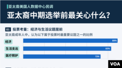 “亚太裔美国人数据中心”(AAPI Data)在中期选举前夕发布最新数据调查。