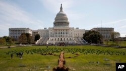 Instalasi seni yang terdiri dari pohon-pohon dan tanaman hias di depan gedung US Capitol di Capitol Hill, Washington, D.C. tanggal 22 April 2018 untuk memperingati Hari Bumi dan mendorong penanaman pohon sebagai upaya untuk mengatasi perubahan iklim (foto: AP Photo/Carolyn Kaster)