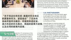 VOA连线(锺辰芳)：美报告与台新南向政策结合，批中国输出压迫治理模式