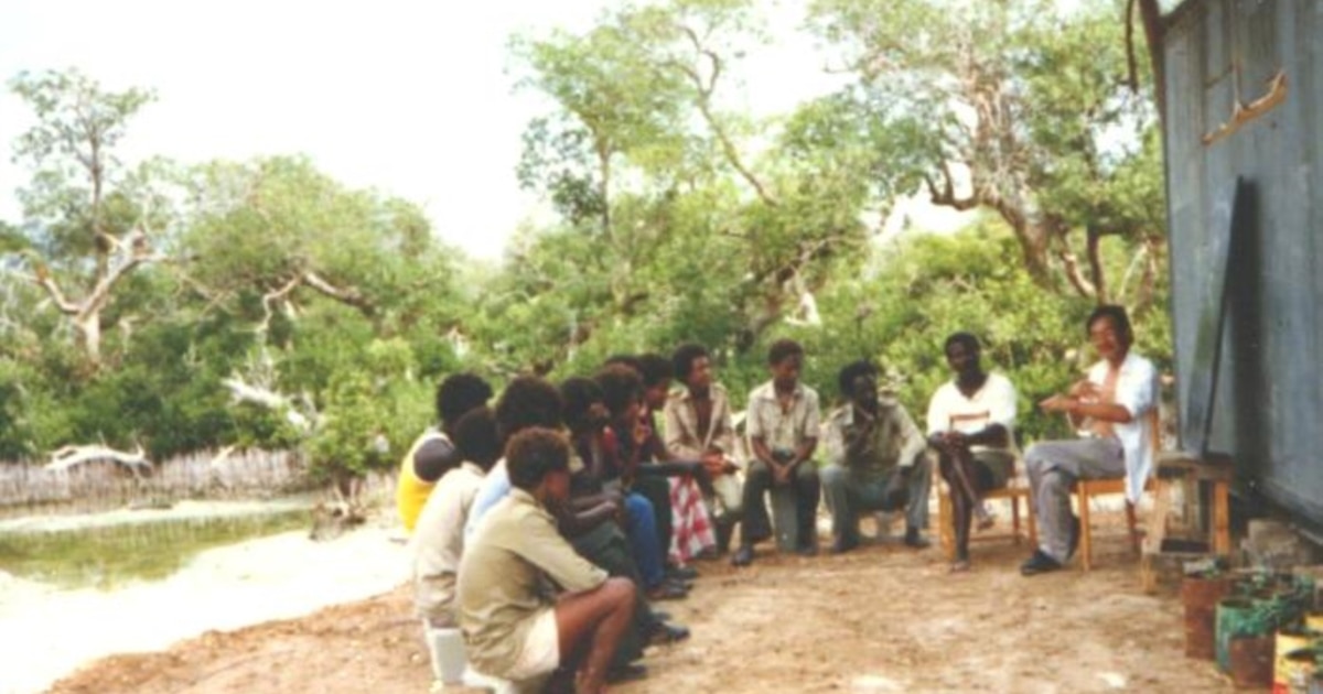 El proyecto Manzanar — Forestación de manglares fertilizados en la costa eritrea del mar Rojo