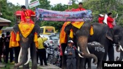 1일 태국 수도 방콕 북부지역 주민들이 코끼리를 이용해 오는 7일로 예정된 헌법 개정안 국민투표 관련 활동을 진행하고 있다.