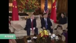 VOA连线:华人川粉:武力解决朝核问题我会支持!
