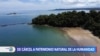 Isla Coiba, un tesoro natural en Centroamérica