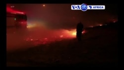 Manchetes Africanas 28 Janeiro 2019: Mau tempo na Argélia