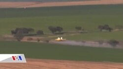 მეცნიერება: უსაფრთხო პესტიციდები