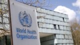 位於瑞士日內瓦的世界衛生組織（WHO）總部大樓外的WHO標識。
