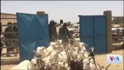 Seli Saga Sugu Gueleya Tombouctou Niafunke Marala