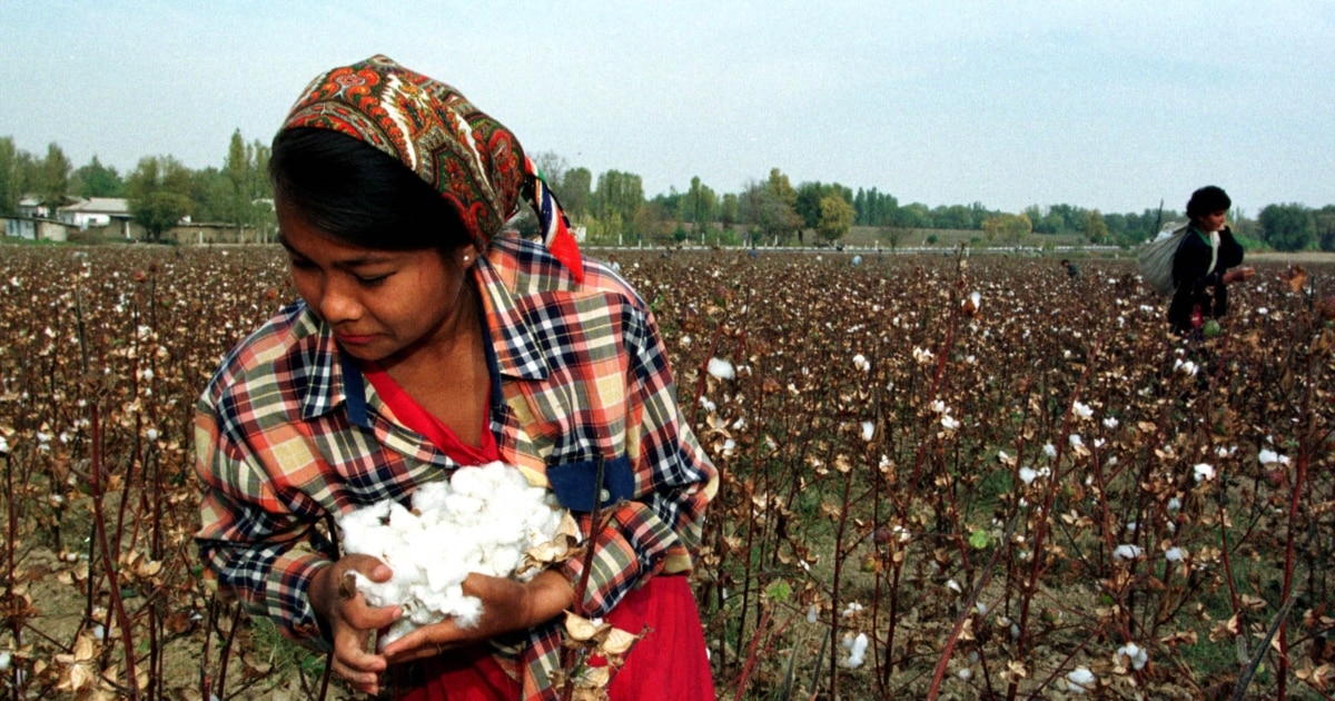 Analdan keyin teshiklarni ochish Anjelika va porno