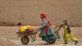 Afghan Kochi nomad girls push wheelbarrows as they fetch water along a street in Daman district of Kandahar province, Feb. 26, 2025.