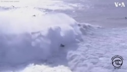 Պորտուգալիայի ծովափերից մեկում մոտորանավակի վթարի հետևանքով տուժող սերֆերներ չեն եղել