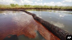 Oil collects along the shore from Gulf of Mexico spill