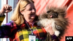 สุนัขพันธุ์ปักกิ่งวัย 8 ปีที่ชื่อ 'ไวล์ด แธง' ชนะในการเเข่งขัน World's Ugliest Dog เมื่อวันที่ 21 มิ.ย. 2024 (AFP)