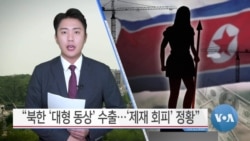 [VOA 뉴스] “북한 ‘대형 동상’ 수출…‘제재 회피’ 정황”