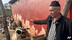 Larbi El Ghazouani, a 55-year-old farmer, tends to sheep he has bred in anticipation of Eid Al-Adha, an annual celebration in which Muslims sacrifice and feast on livestock in Ouled Slama, Morocco, on Feb. 27, 2025.