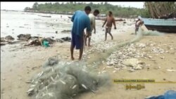 မြန်မာ့ရေလုပ်ငန်းနဲ့ ငါးရှားပါးမှု