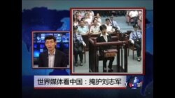 世界媒体看中国：掩盖刘志军