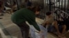 Volunteer Olivia Munoz from the organization Brothers of the Street distributes some blankets among the homeless in Miami, Florida. (Antoni Belchi/VOA)