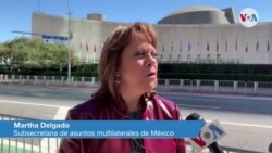 Martha Delgadosubsecretaria de asuntos multilaterales de México, sobre reunión de cancilleres centroamericanos y con el secretario de Estado