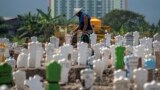 A worker pours water on newly planted flowers at a burial site for victims of the COVID-19 coronavirus at Keputih cemetery in Surabaya, East Java on July 15, 2020. (Photo by JUNI KRISWANTO / AFP)