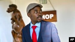 UMnu. Nelson Chamisa 